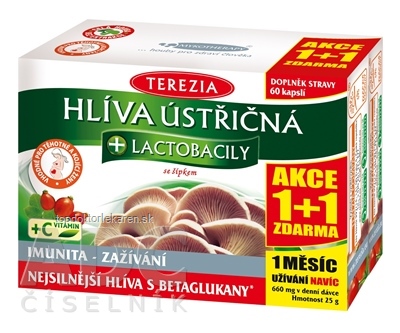 TEREZIA HLIVA USTRICOVITÁ + LAKTOBACILY so šípkami (AKCIA 1+1), cps 60+60 zadarmo (120 ks)