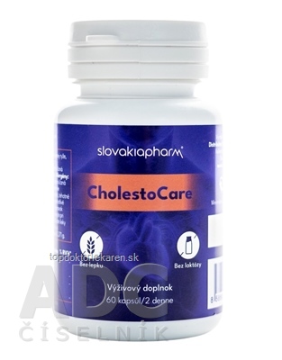 Slovakiapharm CholestoCare cps 1x60 ks